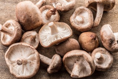 Shiitake mantar ahşap arka plan üzerinde.