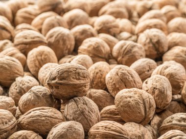 Ceviz. Gıda arka plan. Organik tasarım.