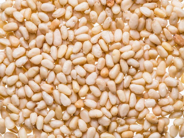 Çam veya çam fıstığı beyaz zemin üzerine tohumları.