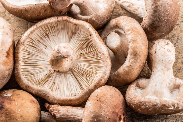 Shiitake Pilze Makro Lebensmittel Hintergrund — Stockfoto