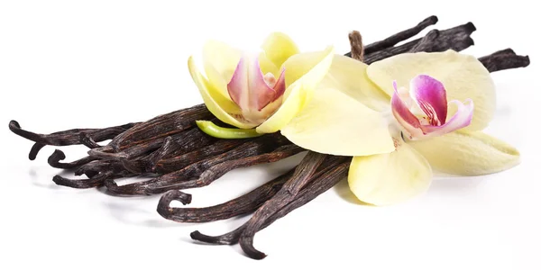 Frutos Secos Vainilla Flores Vainilla Orquídea Aisladas Sobre Fondo Blanco —  Fotos de Stock