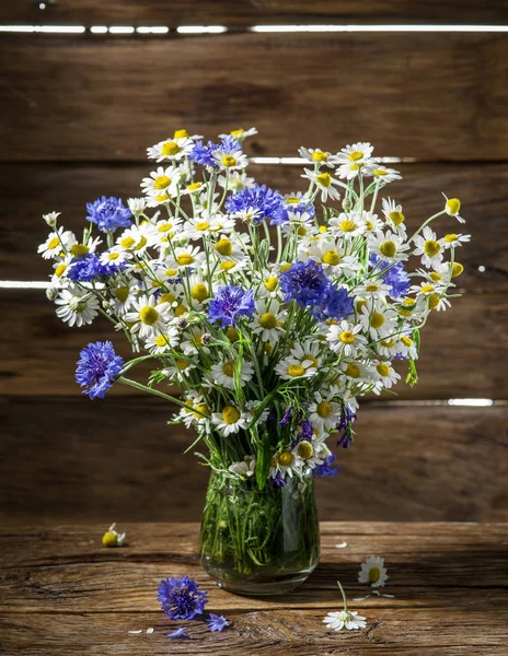Chamomiles ve Peygamber ahşap masa üzerinde vazoda oluşan.