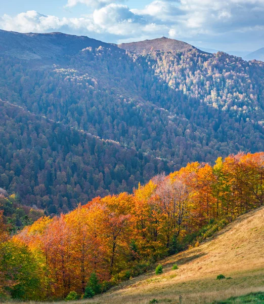 Kolorowe Drzew Górach Jesieni — Zdjęcie stockowe