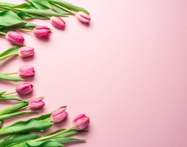 Açık pembe arka planda zarif pembe laleler. Üst görünüm.