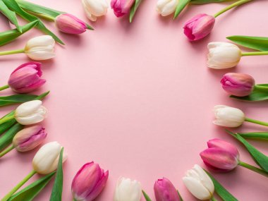Lightpink arka plan üzerinde beyaz ve Pembe lale. Üstten görünüm.