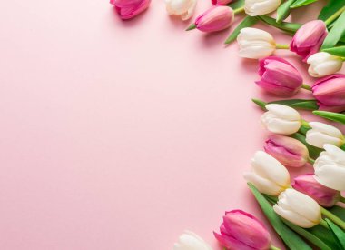 Lightpink arka plan üzerinde beyaz ve Pembe lale. Üstten görünüm.