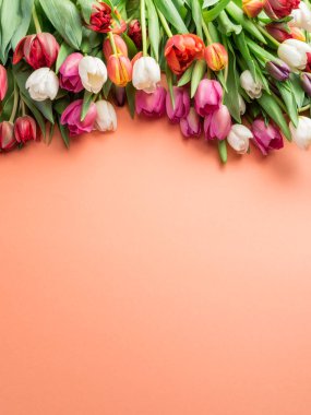 Turuncu arka planda renkli lale demeti. Üst görünüm.