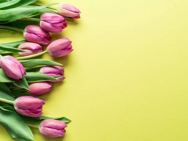 Zarte Frische Tulpen Auf Gelbem Hintergrund Ansicht Von Oben — Stockfoto