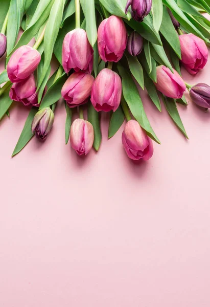 Ніжні Рожеві Тюльпани Світло Рожевому Фоні Вид Зверху — стокове фото