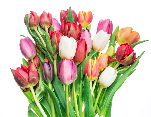 Colorido Ramo Tulipanes Sobre Fondo Blanco Fondo Primavera — Foto de Stock