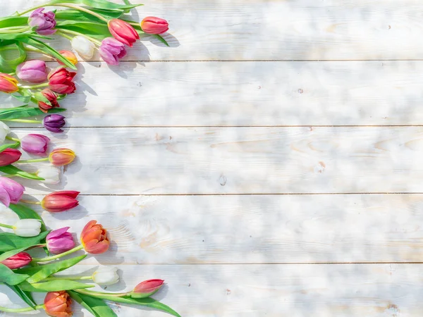 Tulipes Colorées Sur Table Bois Blanc Aux Rayons Soleil Printemps — Photo