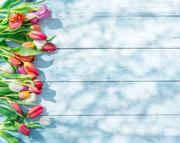 Barevné Tulipány Modré Dřevěný Stůl Jarní Sunlights Jaře Pozadí — Stock fotografie