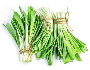 Genç taze yabani sarımsak demetleri.