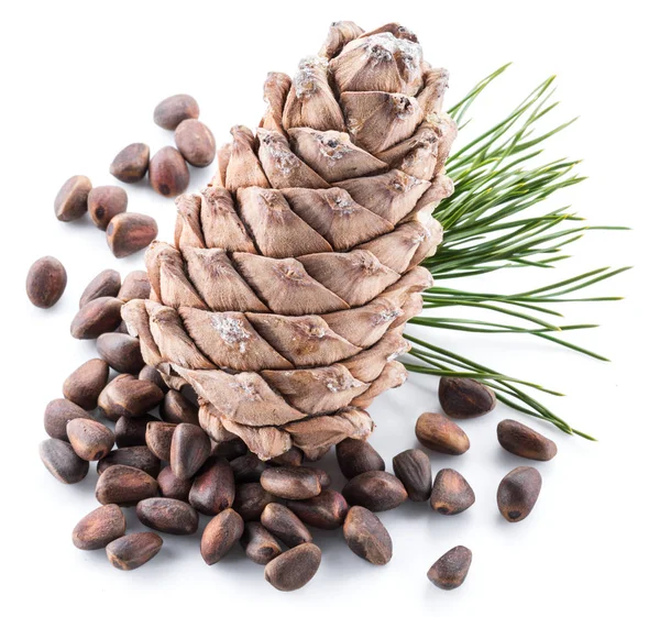 Kužel Cedrové Ořechy Piniové Oříšky Bílém Pozadí Organické Potraviny — Stock fotografie