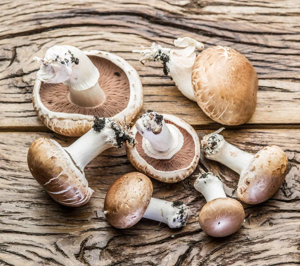 Cogumelos Champignon Mesa Madeira — Fotografia de Stock