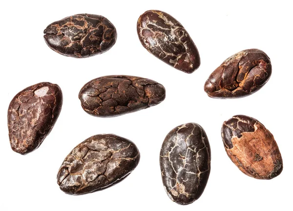 Kakaobönor Isolerad Vit Bakgrund Makro Skott — Stockfoto