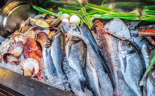 Överflöd Kylda Skaldjursprodukter Fiskmarknaden Närbild — Stockfoto