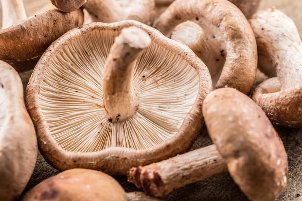 Des Champignons Shiitake Macro Contexte Alimentaire — Photo