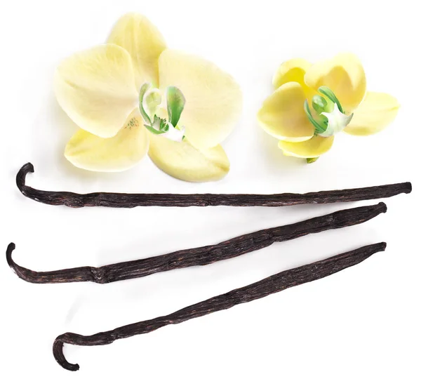 Gedroogde Vanille Vruchten Vanille Orchideebloemen Geïsoleerd Witte Achtergrond — Stockfoto