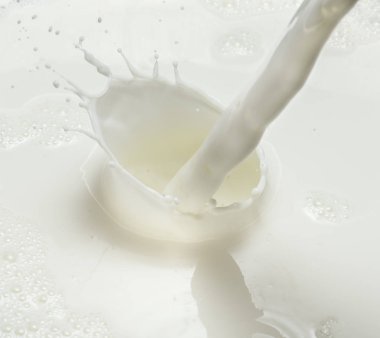 Süt ve süt splash dökme. Yakın çekim.