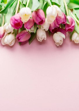 Lightpink arka plan üzerinde beyaz ve Pembe lale. Üstten görünüm.