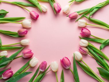 Lightpink arka plan üzerinde beyaz ve Pembe lale. Üstten görünüm.