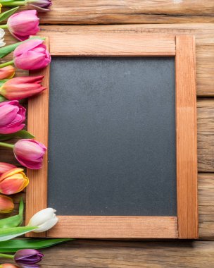 Renkli lale ahşap arka plan karede olarak düzenlenmiştir. Üstten görünüm.