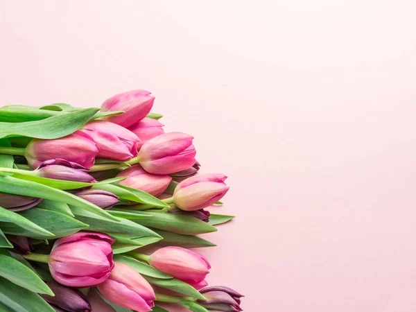 Csokor Rózsaszín Tulipánok Lightpink Háttér Szemközti Nézet — Stock Fotó