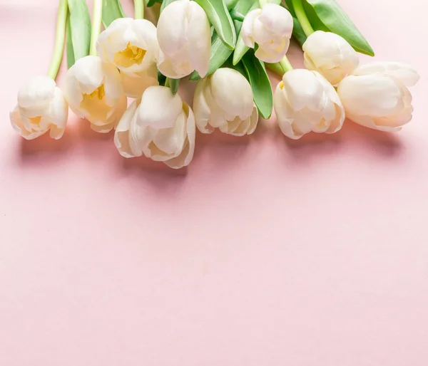 Білі Ніжні Тюльпани Світло Рожевому Фоні Вид Зверху — стокове фото