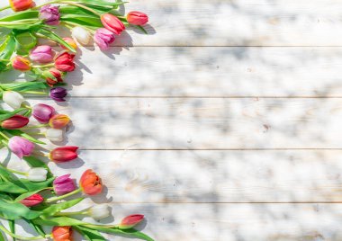 Renkli lale bahar sunlights mavi ahşap tablo. Bahar arka plan.