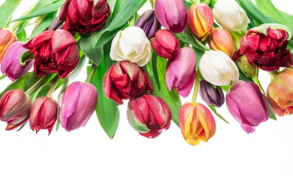 Kleurrijk Boeket Tulpen Witte Achtergrond Voorjaar Achtergrond — Stockfoto