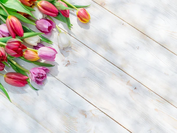 Tulipani Colorati Tavolo Legno Bianco Pieno Sole Primaverile Sfondo Primavera — Foto Stock