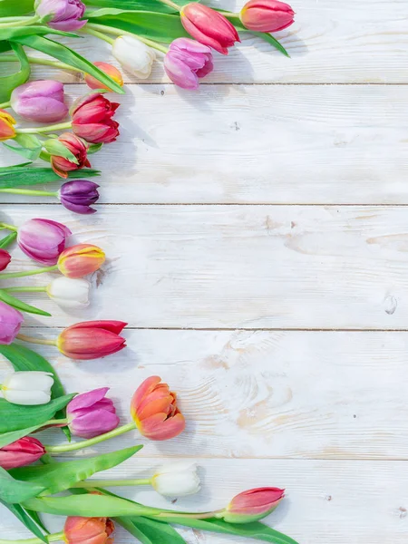 Bunte Tulpen Auf Weißem Holztisch Frühlingssonnenlicht Hintergrund Frühling — Stockfoto