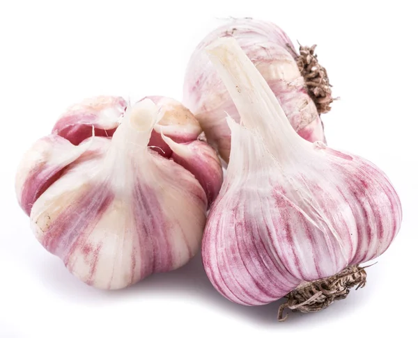 Three Garlic Bulbs Isolated White Background — Stock Photo, Image