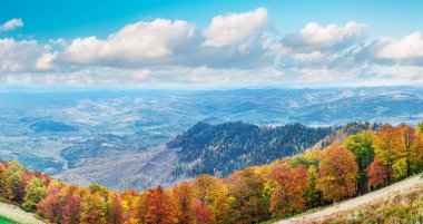 Sonbahar dağlarında renkli ağaçların manzarası.
