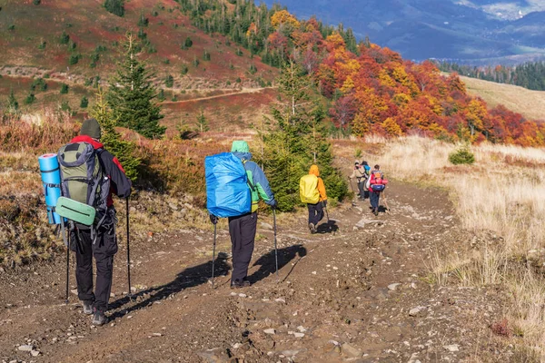 Group of tourists are trekking in the mountain.