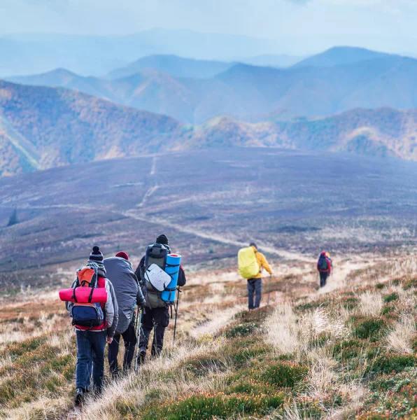 Group of tourists are trekking in the mountain.