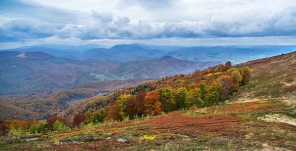 Panorama Kolorowych Drzew Jesiennych Górach — Zdjęcie stockowe