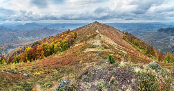 Panorama Kolorowych Drzew Jesiennych Górach — Zdjęcie stockowe