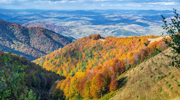 Panorama Kolorowych Drzew Jesiennych Górach — Zdjęcie stockowe