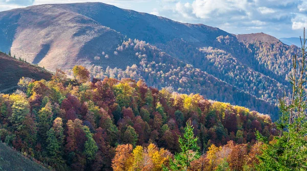Sonbahar Dağlarında Renkli Ağaçların Manzarası — Stok fotoğraf