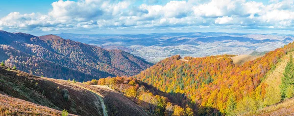 Panorama Kolorowych Drzew Jesiennych Górach — Zdjęcie stockowe