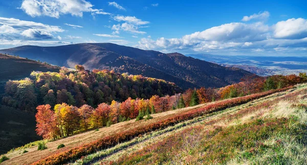 Panorama Kolorowych Drzew Jesiennych Górach — Zdjęcie stockowe