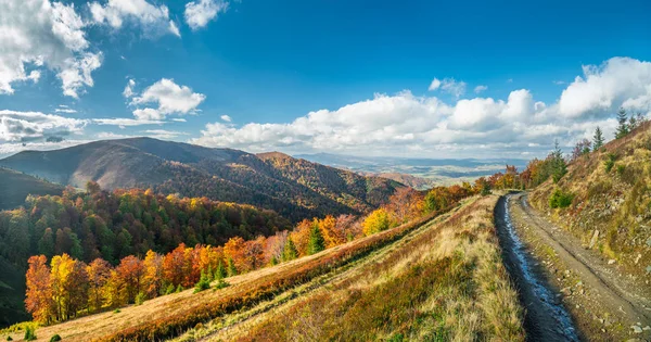 Panorama Kolorowych Drzew Drogi Górach Jesieni — Zdjęcie stockowe
