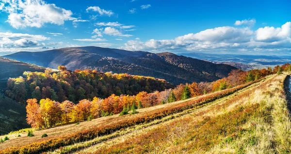 Panorama Kolorowych Drzew Jesiennych Górach — Zdjęcie stockowe