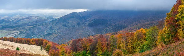 Panorama Kolorowych Drzew Jesiennych Górach — Zdjęcie stockowe