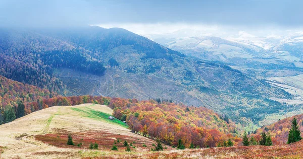 Színes Fák Panorámája Őszi Hegyekben — Stock Fotó