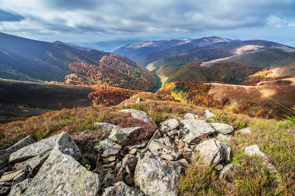 Panorama Árvores Coloridas Nas Montanhas Outono — Fotografia de Stock