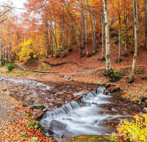 Горный Поток Осенний Пейзаж Лесу — стоковое фото
