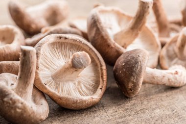 Shiitake mantar ahşap arka plan üzerinde.